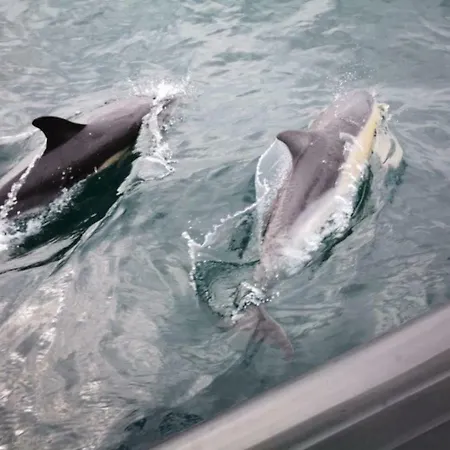 Marnix's Apartment Nazare